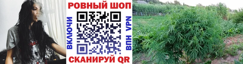 Какие есть наркотики Спасск-Дальний Cocaine  Alpha-PVP  кракен ССЫЛКА  Меф 