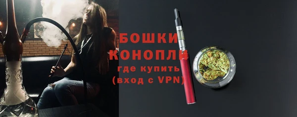 твердый Пересвет